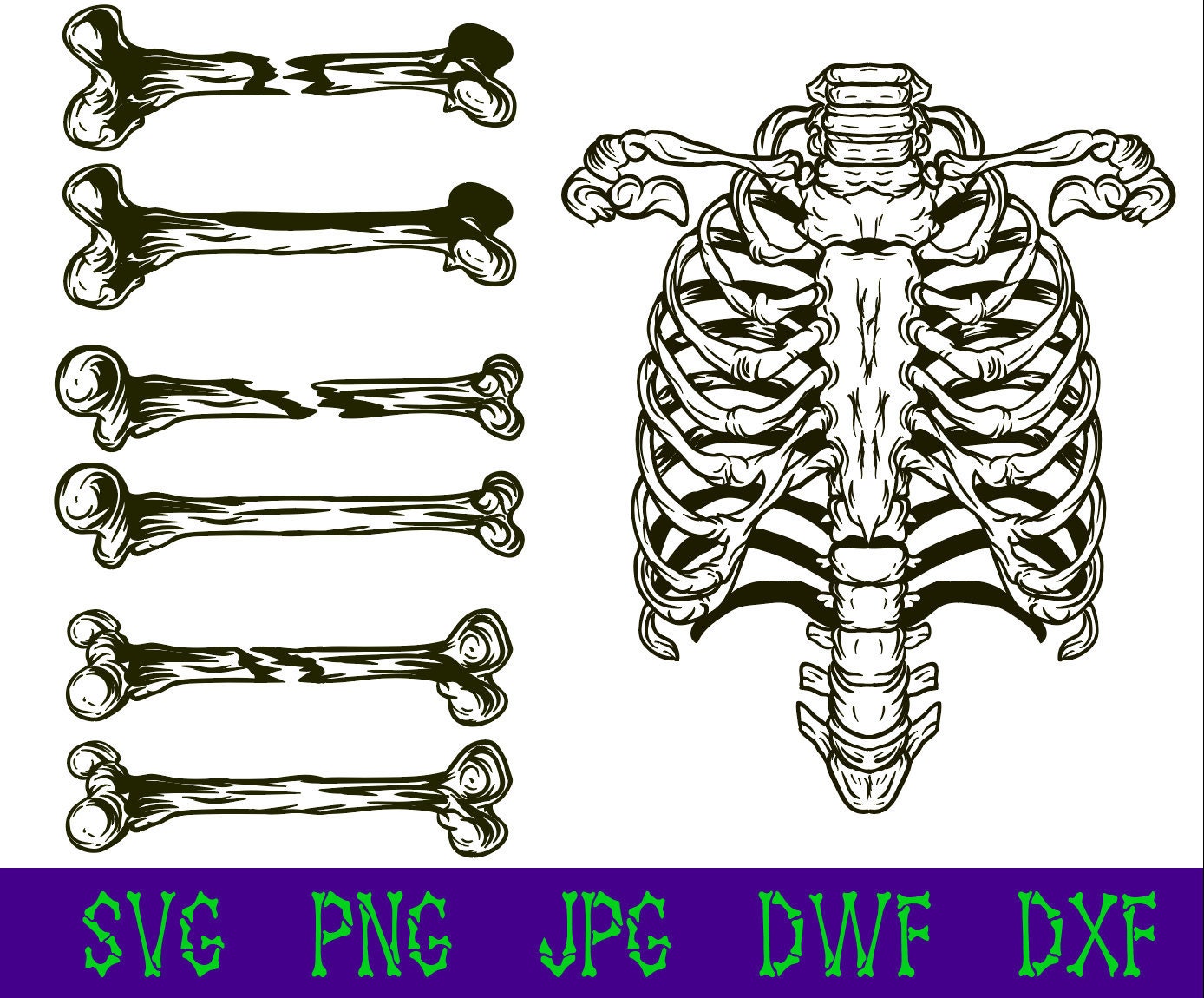 Skeleton & Bones SVG Files Bundle for Cricut Silhouette Cut N | Etsy