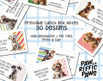 Fun Printable Lunch Box Notes, Back to School, Funny Love Notes, Affirmation, Self-Image, Diversity, Thankful notes, Joy, 300 DPI, PDF Files