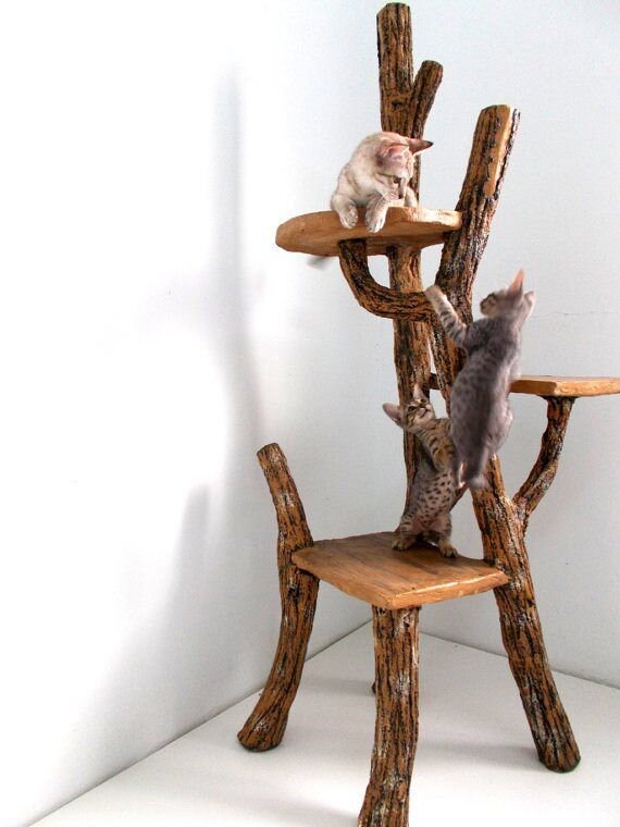 artistic cat tree