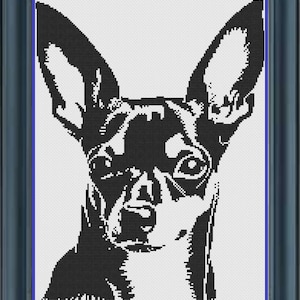 May include: Black and white silhouette of a Chihuahua dog with large ears and a serious expression.