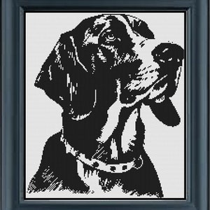 May include: Black and white illustration of a dog's head with a collar. The dog has a long snout and floppy ears.