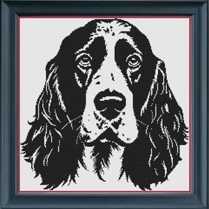 May include: Black and white illustration of a Springer Spaniel dog with long, flowing ears. The dog is looking directly at the viewer with a serious expression.