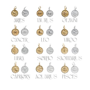 Zodiac Coin Charm Pendants, 925 Sterling Silver Constellation Charms, Constellation Birth Signs, Jewelry making, Real 14K Gold Plated, Gift