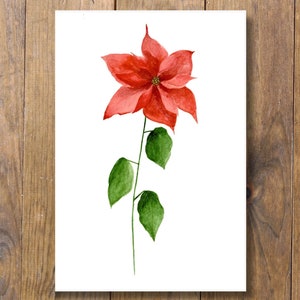 Kerstster decemberkaart, digitale verjaardagskaart bloem, vouwkaart verjaardag in december downloaden