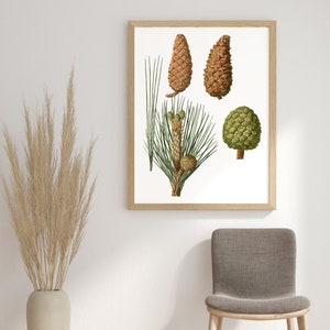 Stampa di pino, stampa botanica, arte di pini, arredamento boho, aghi di pino, arte murale moderna, stampa minimalista, pini, stampa artistica di pini