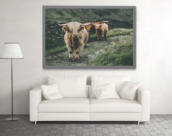 Highland Cow Print, Scotland Scenery Photo Poster, Modern Animal Wall Art, Neutral Home Decor