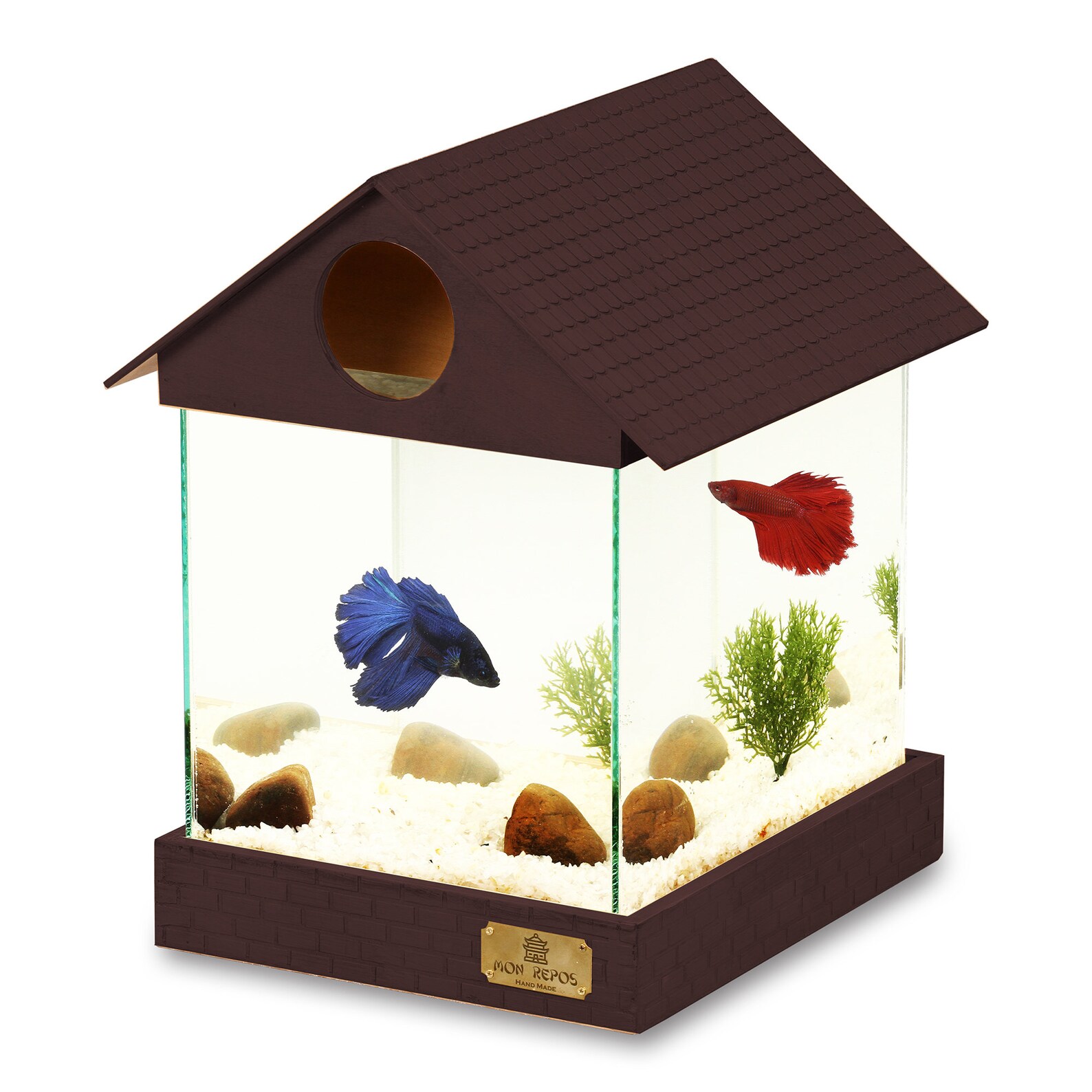 Fish Aquarium Boyfriend Gift Custom Aquarium Couples Gift Etsy