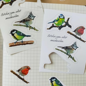 Garten Vögel Sticker Bogen EINS durchsichtig und weiß zum selbst schneiden süßes kleines Geschenk für Adventskalender für Orni-Fans