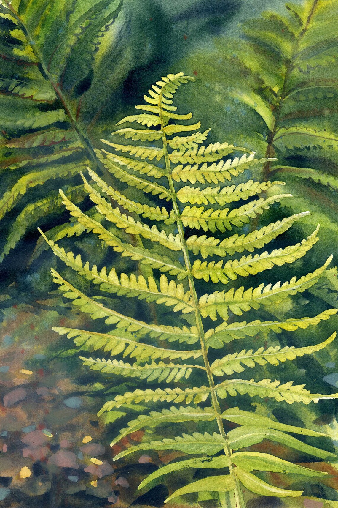 Grüner Farn Drucke herunterladen Fern Leaf Digital Aquarell Etsy