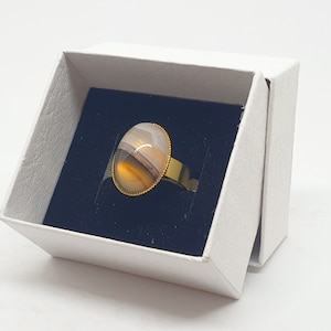 Op de afbeelding: Een gouden ring met een grote ovale agaat edelsteen. De agaat is een mix van bruine, witte en grijze kleuren. De ring zit in een witte doos met een zwarte binnenkant.