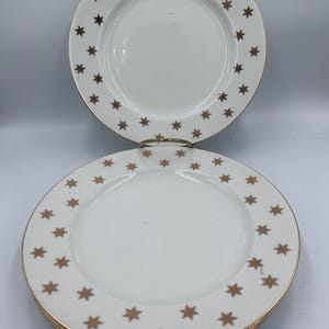 Set of four Star American Atelier dinner plates