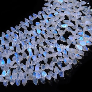 May include: Strands of iridescent, teardrop-shaped moonstone beads. The beads are a translucent white with flashes of blue and rainbow iridescence. The beads are strung together, creating a shimmering effect against a black background.