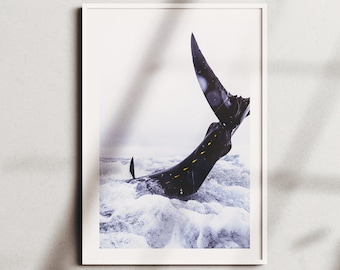 Bluefin Tuna Catch Behind Tuna Boat - Ocean Wildlife Photography, Coastal Decor Print