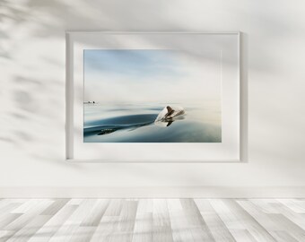 Dolphins at Sunrise – Maine Ocean Print, Wildlife Print, Coastal Maine Prints Decor, Wildlife Photography, Nature Photography, Sunrise Photo