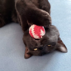 Valentine’s Day Cat Ball