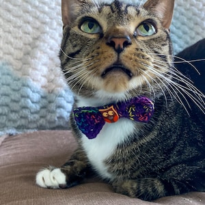 Owl Bow Tie For Cats