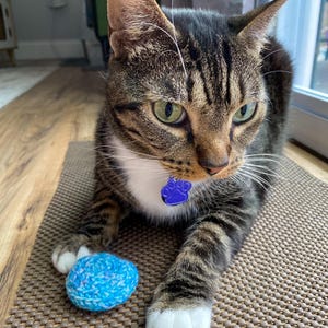 Crocheted Catnip Disk