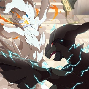 Reshiram and Zekrom's Type; Games Enhanced for DSi; Zoroark's  English Name 