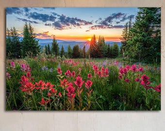 Colorado Wildflower Landscape Wall Art, Beautiful Photography Print, Living Room Decor, Scenic Nature Picture, Sunset Image, Fine Art Photo
