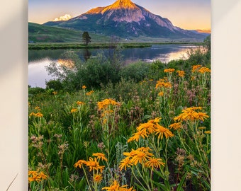 Crested Butte Wildflower Photo - Peanut Lake Colorado Mountain Art - Fine Art Photography Prints by Daniel Forster