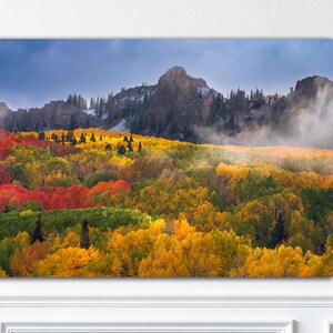 Kebler Pass Autumn Aspen Forest Photo: Colorado Landscape Art Print