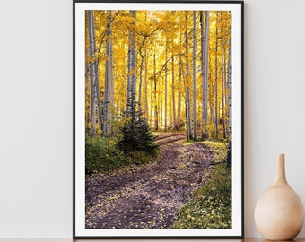 Aspen Forest Road Print, Fall Colors Photo, Aspen Wall Art, Home Decor, Landscape Photography