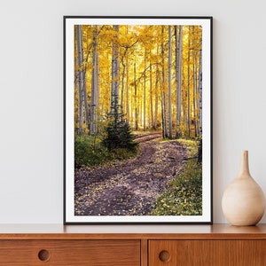 Aspen Forest Road Print, Fall Colors Photo, Aspen Wall Art, Home Decor, Landscape Photography