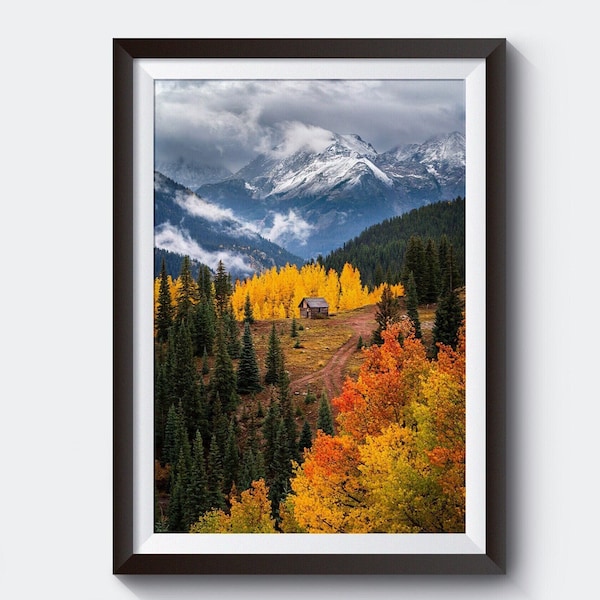 San Juan Mountains Autumn Forest Landscape Print, Colorado Home Decor Wall Art, Aspen Forest Nature Photo, Professional Photography Prints