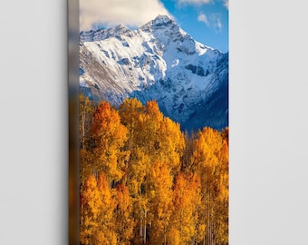 San Juan Mountains Photo - Autumn Aspen Forest Landscape Print - Fall Colors Wall Art by Daniel Forster Photography