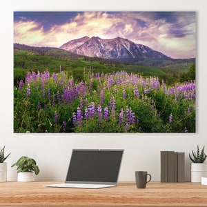 Beautiful Photo of Wildflowers & Sunrise - Mountain Landscape Photography Print - Colorado&#39;s Kebler Pass - Fine Art Image by Daniel Forster