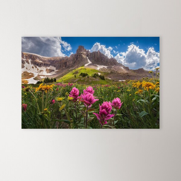 Colorado Landscape Photography Prints - Pink Indian Paintbrush Wildflowers Photo, San Juan Mountains Wall Art