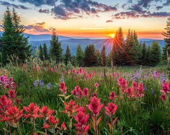 Colorado Wildflower Landscape Wall Art, Beautiful Photography Print, Living Room Decor, Scenic Nature Picture, Sunset Image, Fine Art Photo