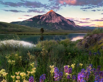 Könnte beinhalten: Eine malerische Landschaft mit einem Berg im Hintergrund, einem See im Vordergrund und lila Wildblumen im Gras.