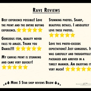 Daniel Forster Photography rave reviews