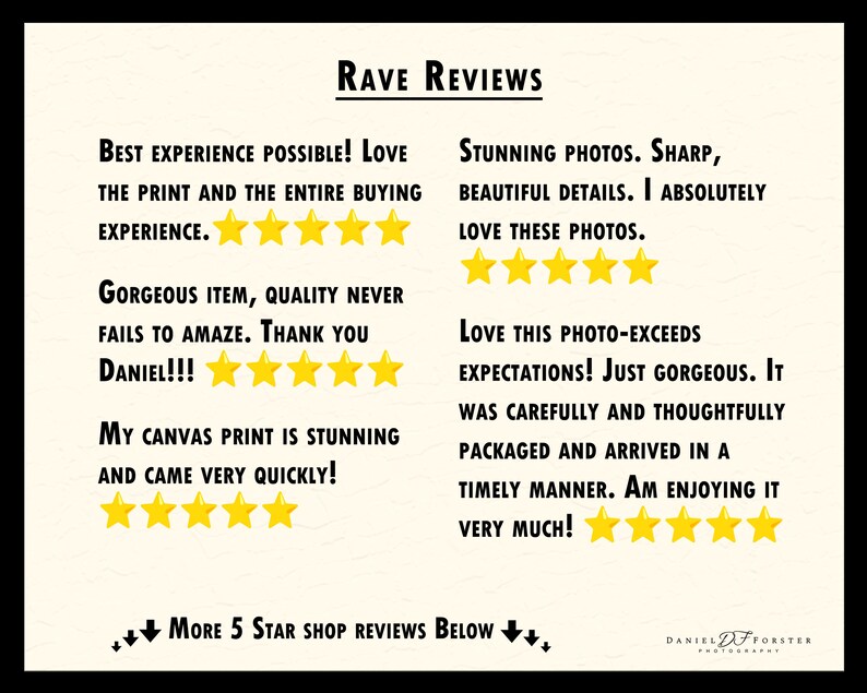 Daniel Forster Photography rave reviews