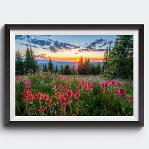 Wildflower Sunset Picture - Indian Paintbrush Photo, Fine Art Print, Colorado Wall Art, Landscape Photography Prints, Beautiful Sunset Photo