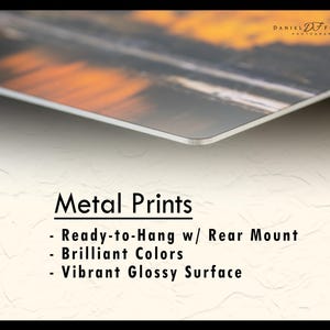 Daniel Forster Photography metal prints