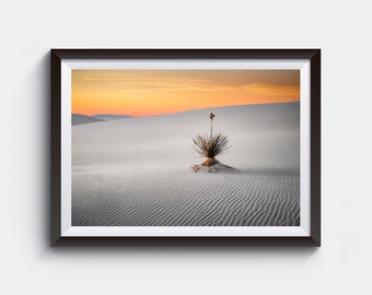 White Sands National Park Photo, Desert Landscape Photography Print, New Mexico Wall Art, Yucca Plant Picture, Photography by Daniel Forster