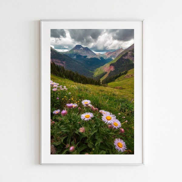 San Juan Mountains Colorado Purple Wildflowers Landscape Photography Prints