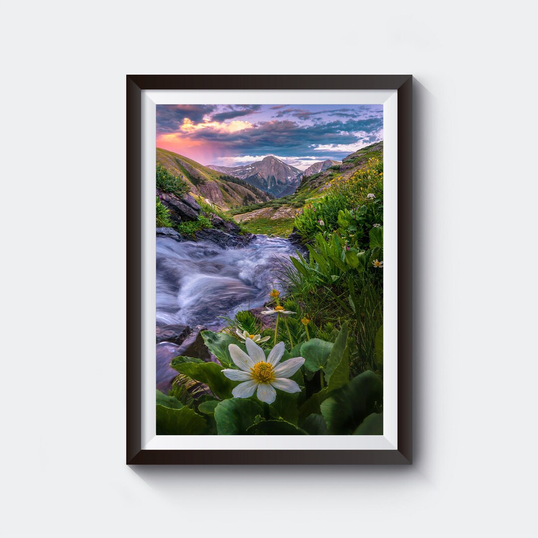Beautiful San Juan Mountains Scenic Photography Print, Wildflower