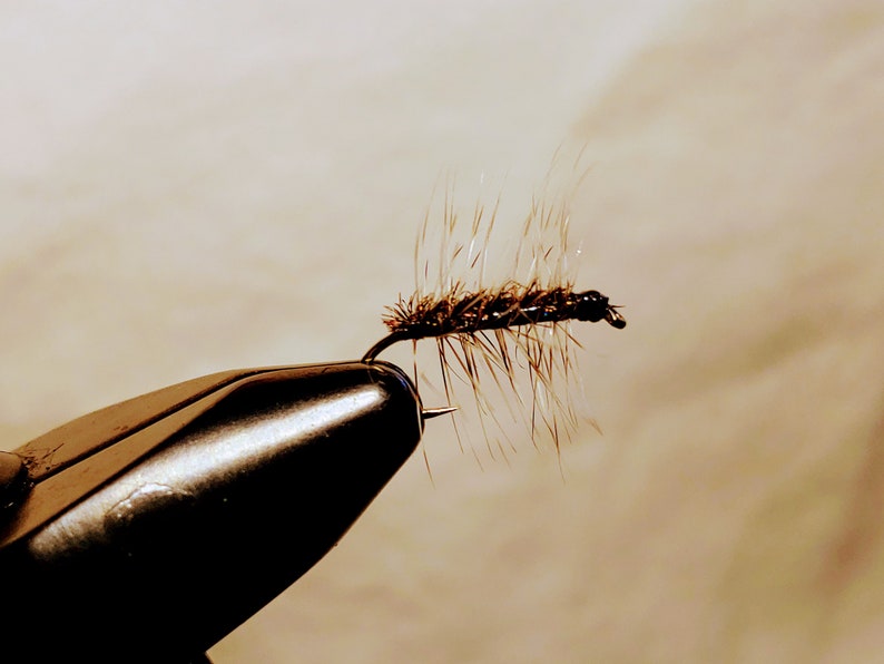 bennett blue crackleback
