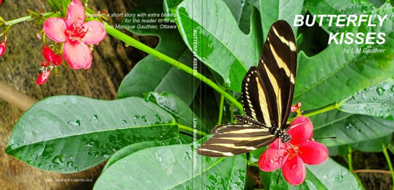 BUTTERFLY KISSES 8x8 hard cover book. 24 pages of Etsy