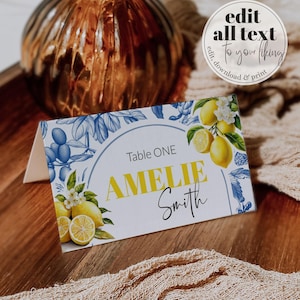 Lemon Toile Place Cards Template Mediterranean Positano themed Food Labels for Cutie Baby Shower Table Decoration Editable Place Cards #072