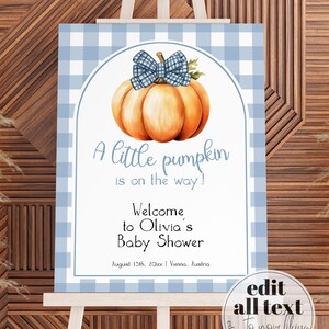 May include: A blue and white gingham background with a white archway. Inside the archway is a watercolor illustration of a pumpkin with a blue bow. The text reads "A little pumpkin is on the way! Welcome to Olivia's Baby Shower August 13th, 20xx | Vienna, Austria".