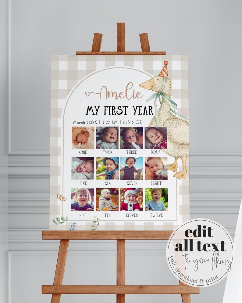 One Silly Goose Baby First Year Monthly Photo Banner Sign, Silly Goose