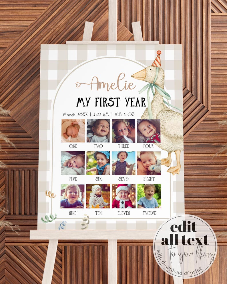 One Silly Goose Baby First Year Monthly Photo Banner Sign, Silly Goose