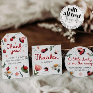 Lady Bug Baby Shower Party Favors Tags Template, Labels Stickers Cupcake Toppers 099LB-TLST