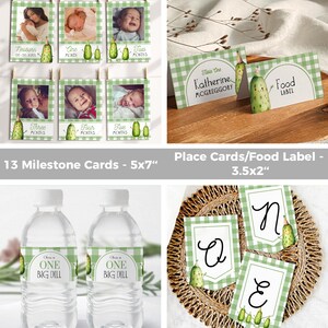 Op de afbeelding: Een verzameling baby shower decoraties met een groen en wit geruit thema. Inclusief mijlpaalkaarten met babyfoto's, naambordjes, waterfleslabels en een stoelbanner. Het thema heeft een cartoon augurk.