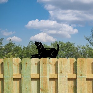 Dog fence -  México