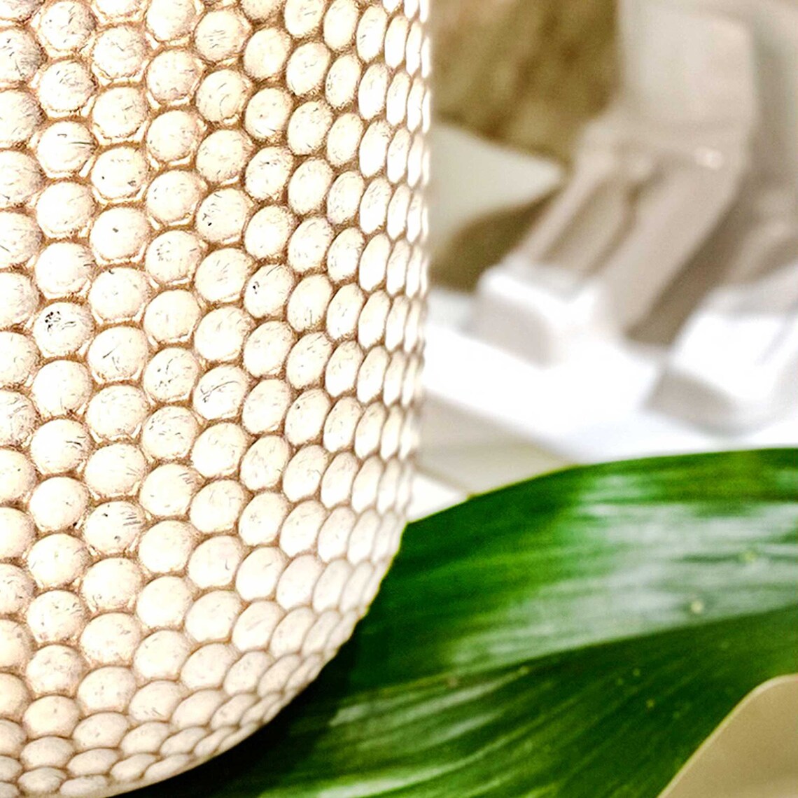 Reverse Hobnail Glass Vase in White/Gold Etsy